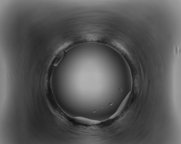 X0000086750492200704201728