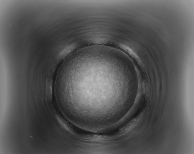 X0000086750493200704201728