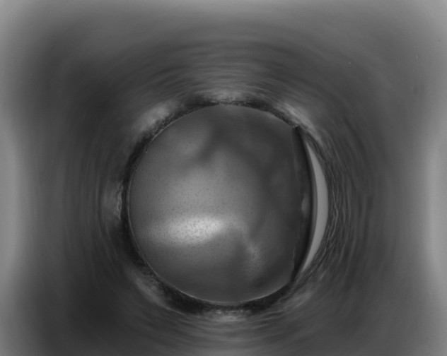 X0000086750495200704201728