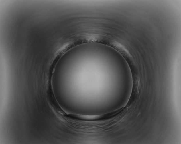 X0000086750496200704201728