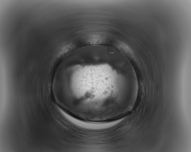 X0000086750499200704201728