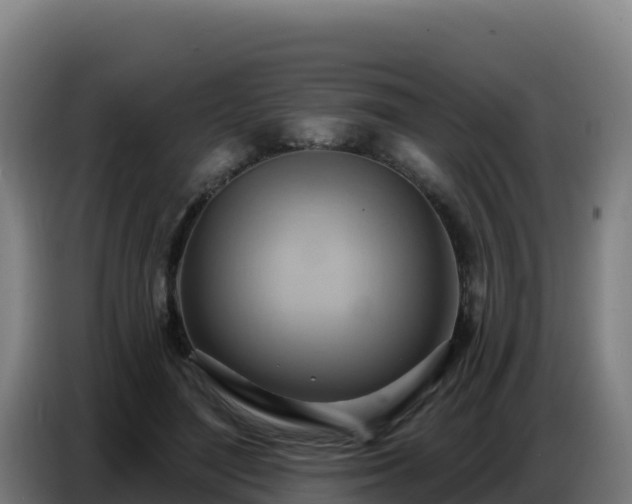 X0000086750500200704201728