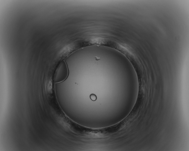 X0000086750502200704201728