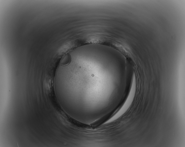 X0000086750503200704201728