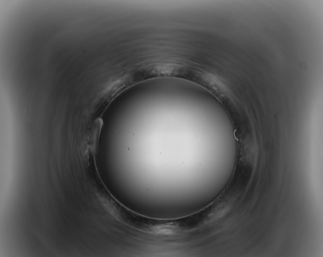 X0000086750505200704201728