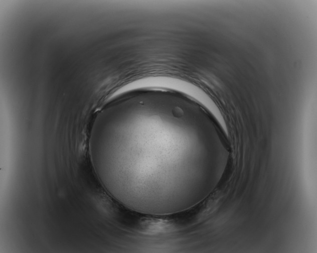 X0000086750507200704201728