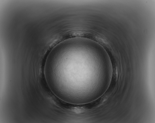 X0000086750508200704201728