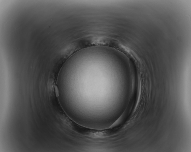 X0000086750513200704201728