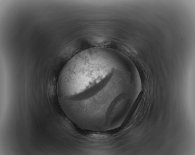 X0000086750515200704201728