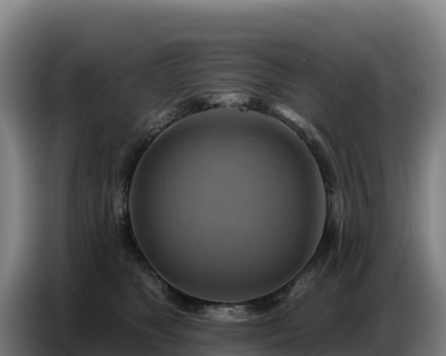 X0000086750517200704201728