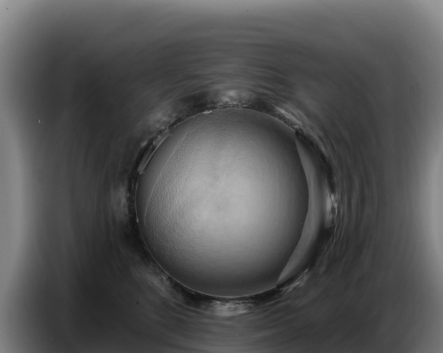 X0000086750520200704201728