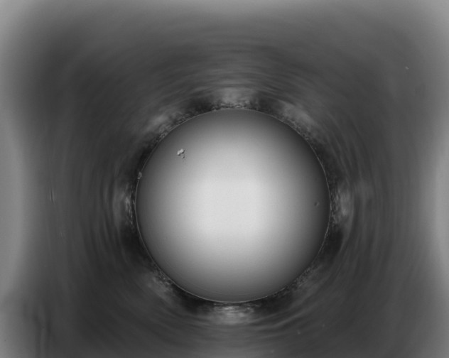 X0000086750522200704201728