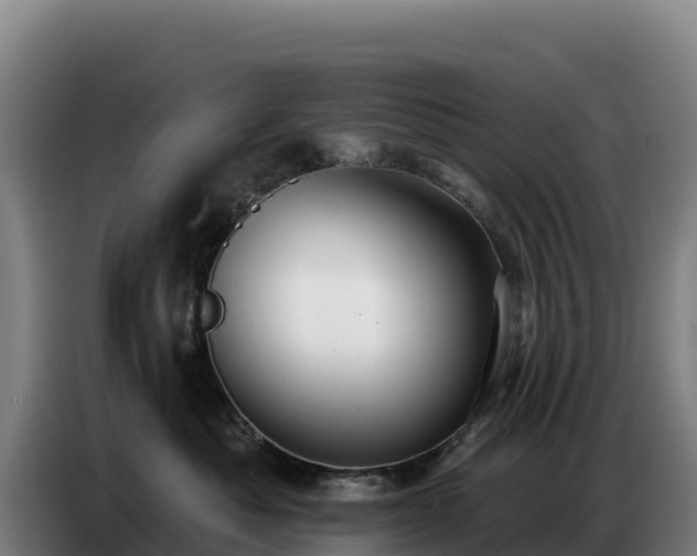 X0000086750525200704201727