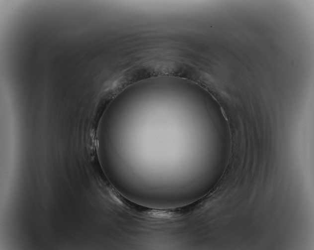 X0000086750528200704201727