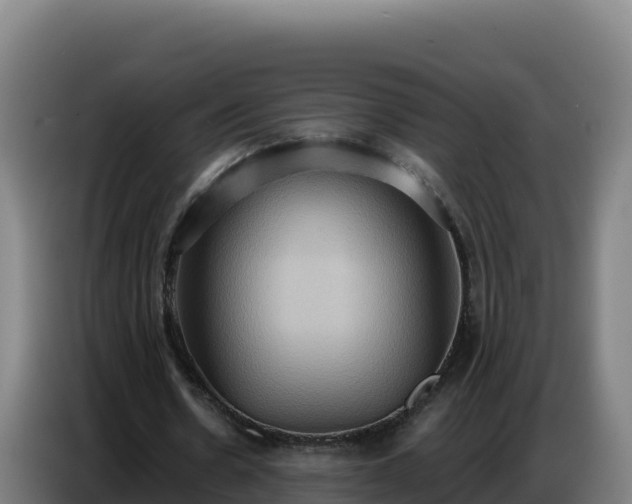 X0000086750530200704201727