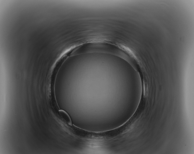 X0000086750531200704201727