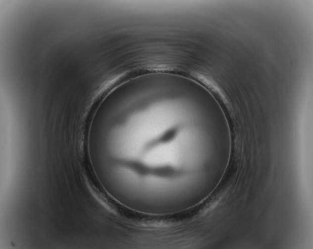 X0000086750533200704201727