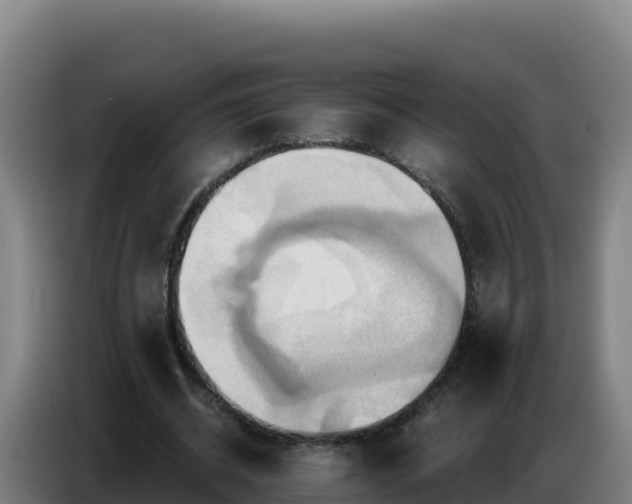 X0000086750534200704201727
