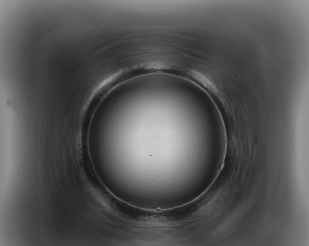 X0000086750535200704201727