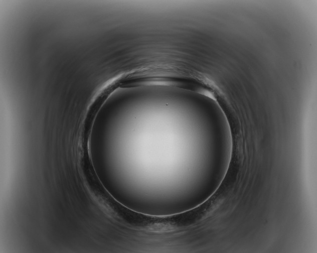 X0000086750536200704201727