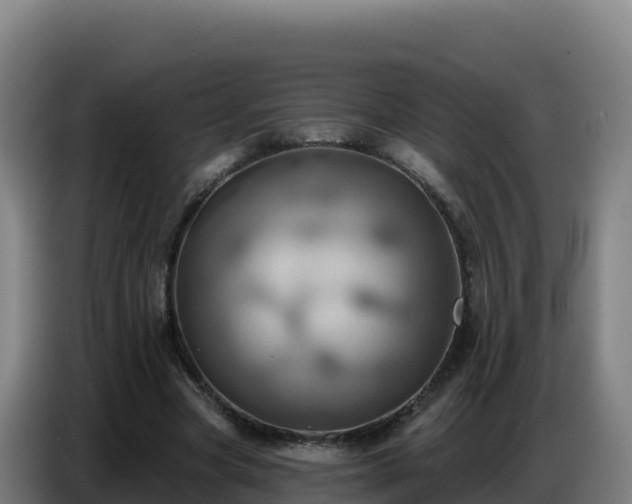 X0000086750537200704201727