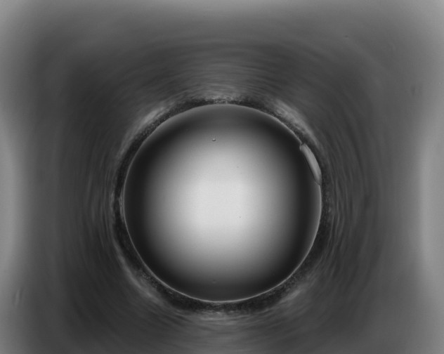 X0000086750538200704201727