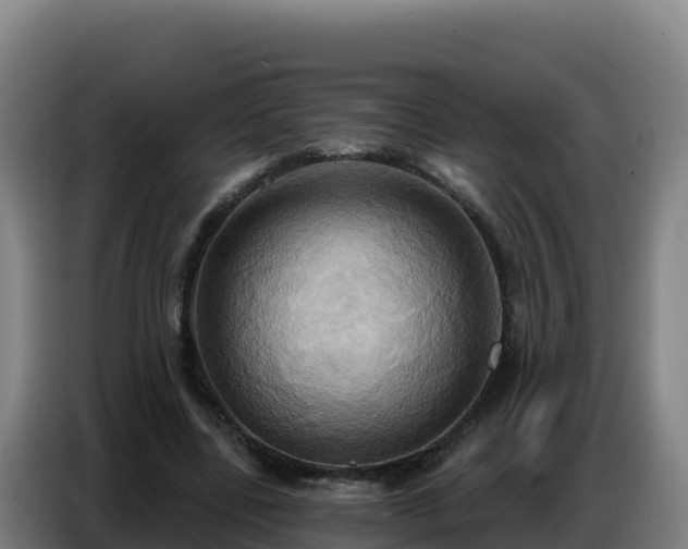 X0000086750539200704201727