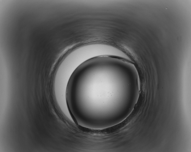 X0000086750540200704201727