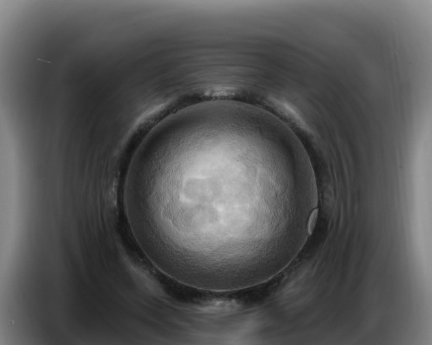 X0000086750543200704201727
