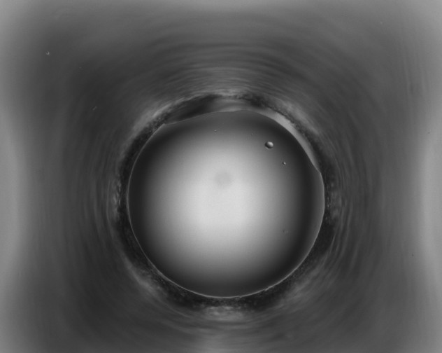 X0000086750544200704201727