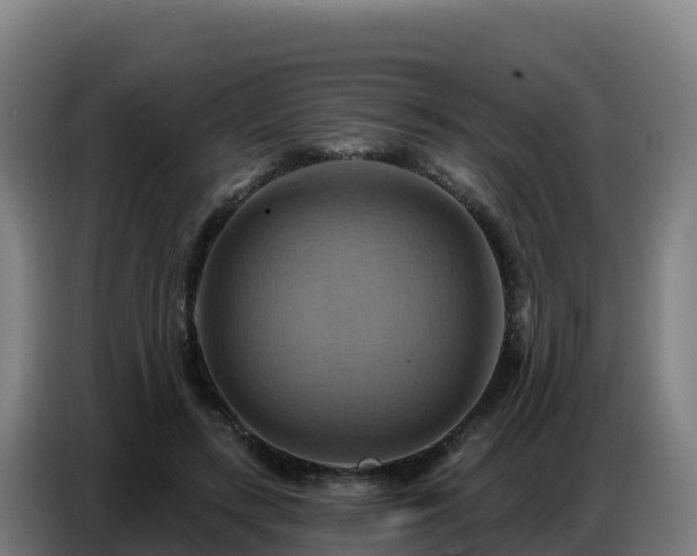 X0000086750547200704201727