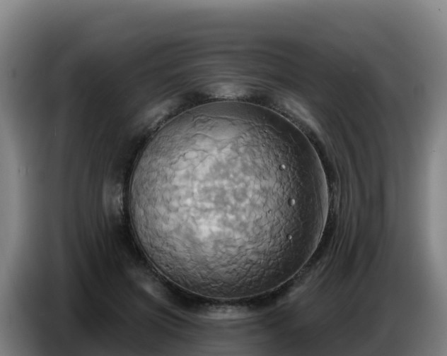 X0000086750549200704201727