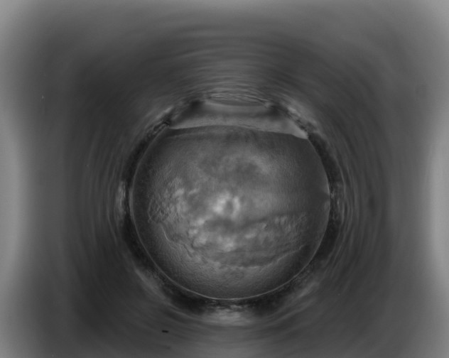 X0000086750550200704201727