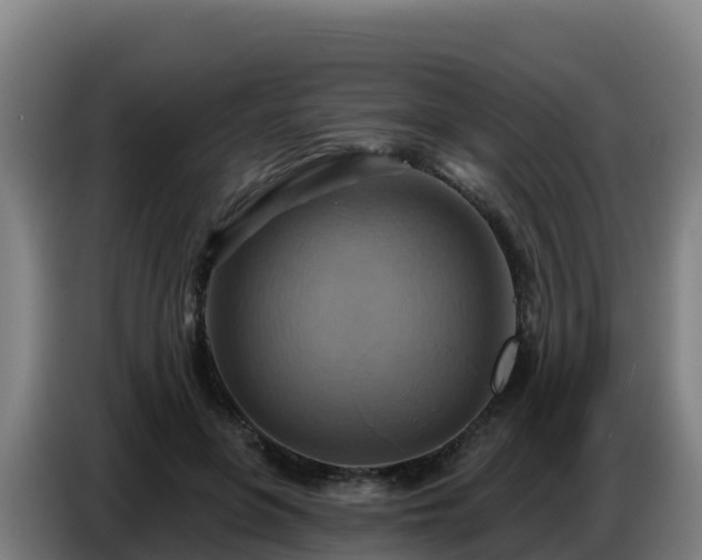 X0000086750551200704201727