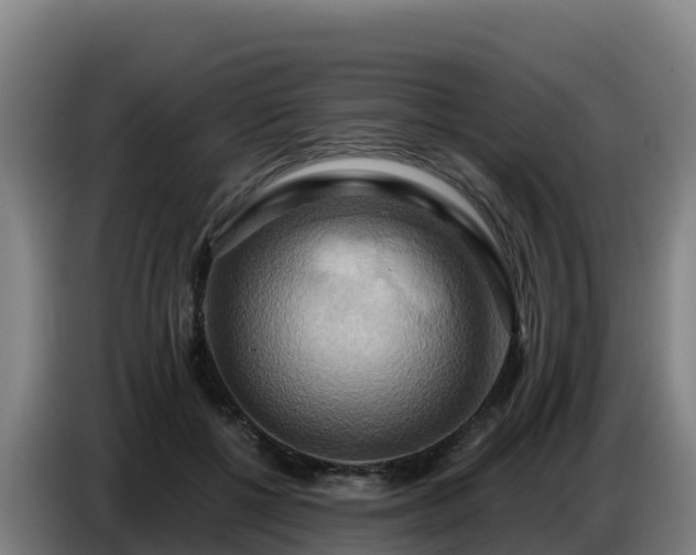 X0000086750552200704201727