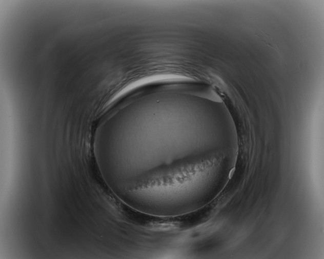 X0000086750553200704201727