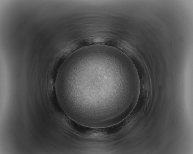 X0000086750555200704201727