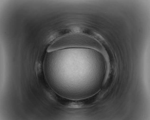 X0000086750556200704201727