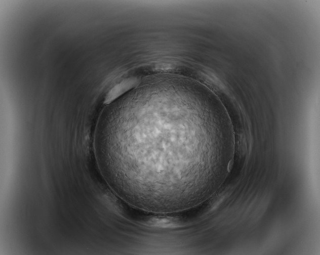 X0000086750557200704201727