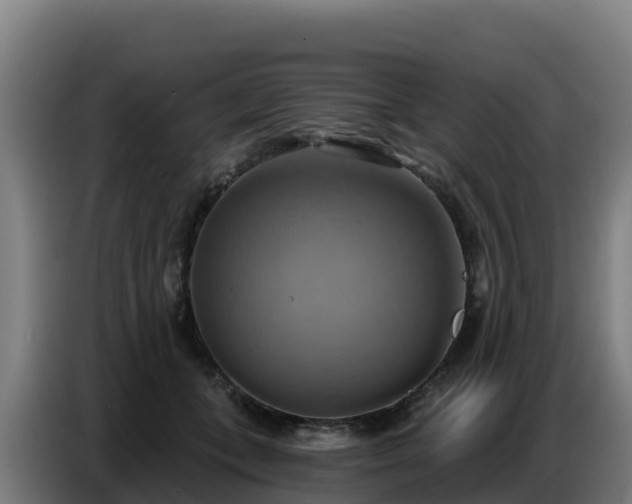 X0000086750559200704201727