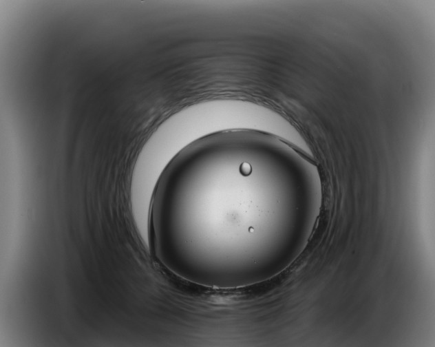 X0000086750560200704201727