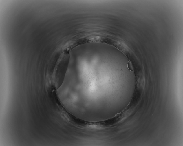 X0000086750561200704201727