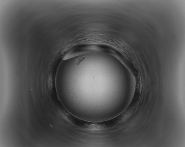 X0000086750562200704201727