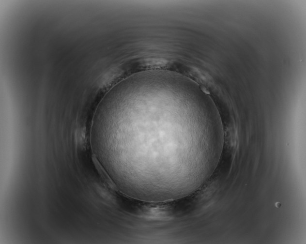 X0000086750564200704201727