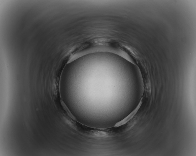 X0000086750572200704201727
