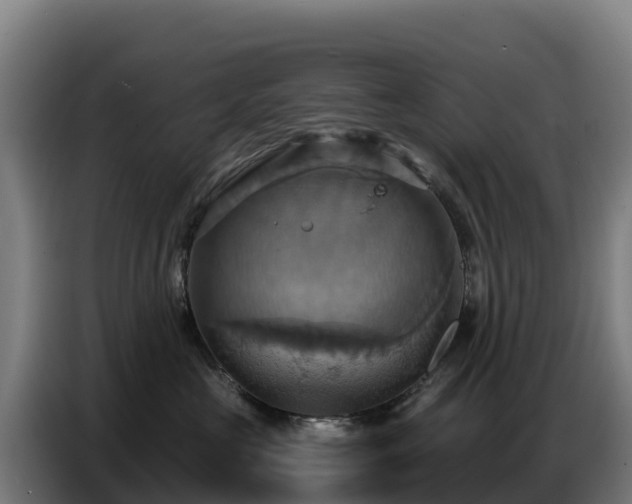 X0000086750573200704201727