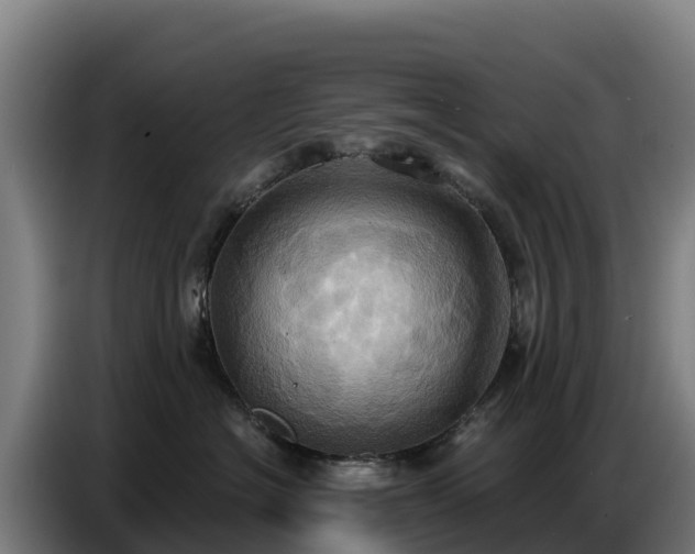 X0000086750574200704201727
