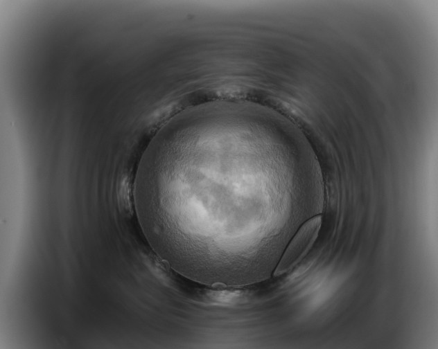 X0000086750575200704201727