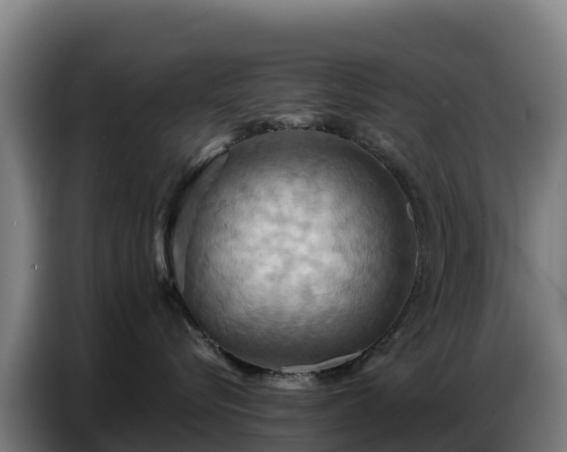 X0000086750576200704201727