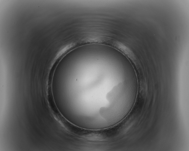 X0000086750578200704201727